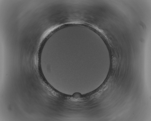 X0000112531319200909281029