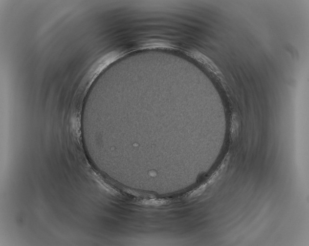 X0000112531321200909281029