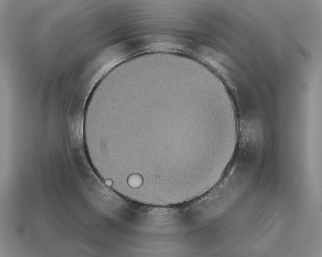 X0000112531322200909281029