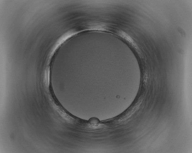 X0000112531323200909281029