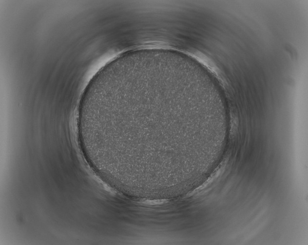 X0000112531325200909281029