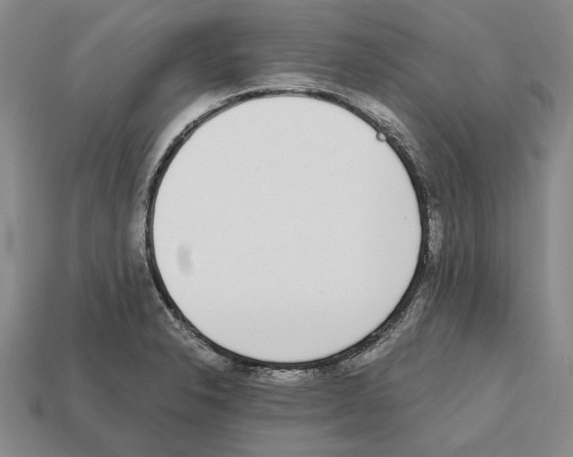 X0000112531326200909281029