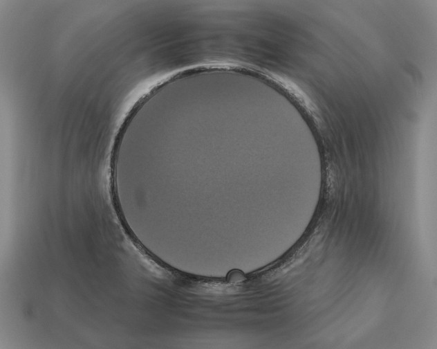 X0000112531327200909281029