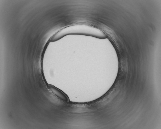 X0000112531328200909281029