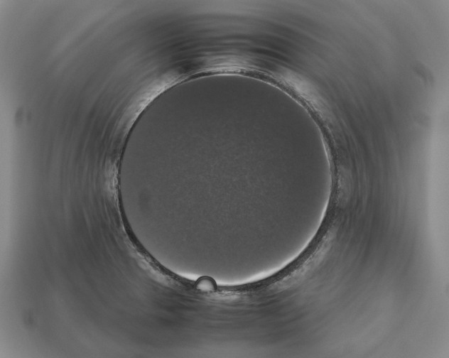 X0000112531329200909281029