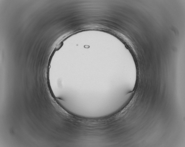 X0000112531330200909281029