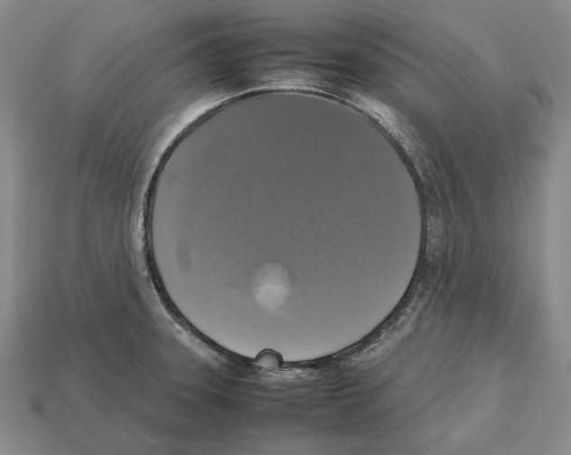 X0000112531331200909281029