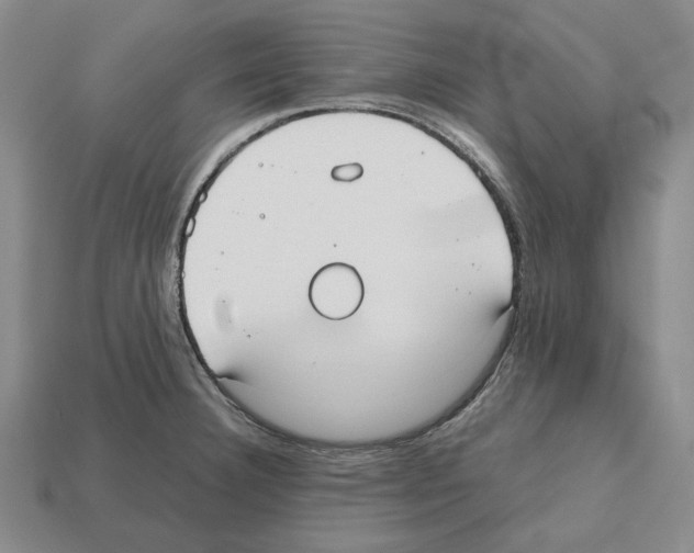 X0000112531332200909281029