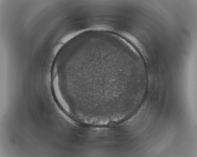 X0000112531335200909281029