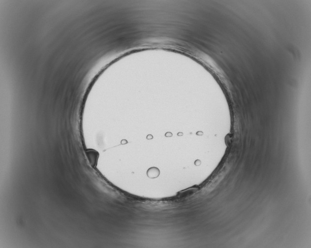 X0000112531336200909281030