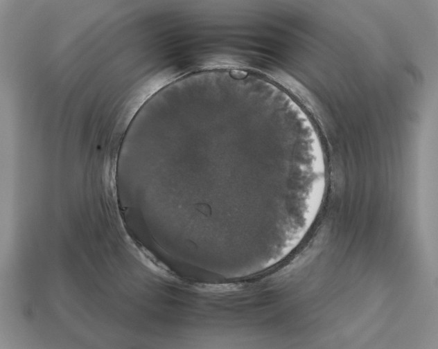 X0000112531337200909281030