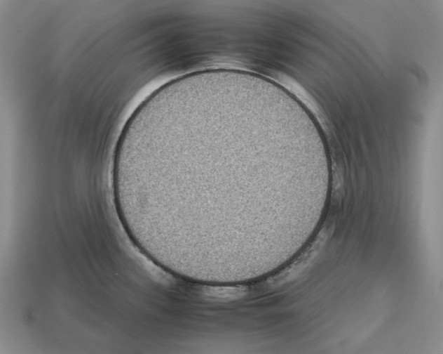 X0000112531339200909281030