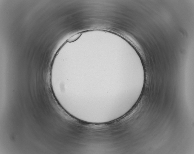 X0000112531340200909281030