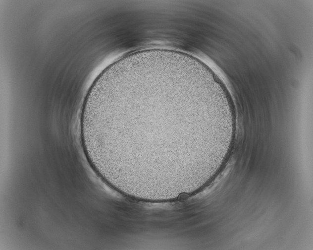 X0000112531341200909281030