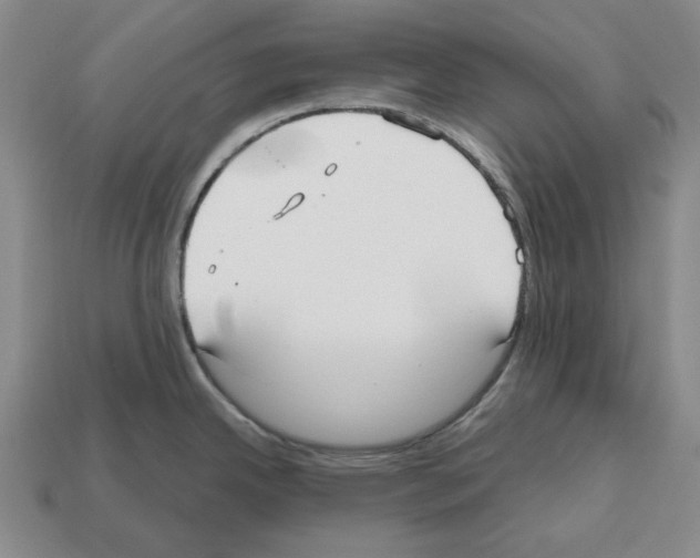 X0000112531342200909281030