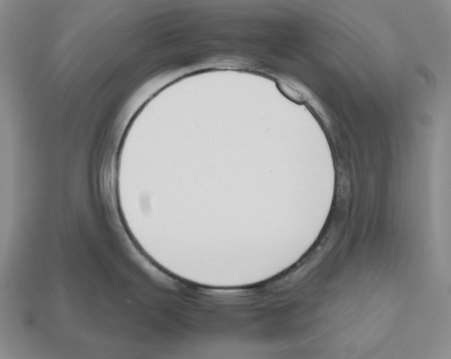 X0000112531343200909281030