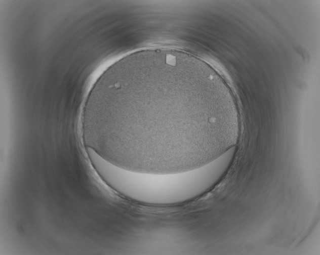 X0000112531344200909281030