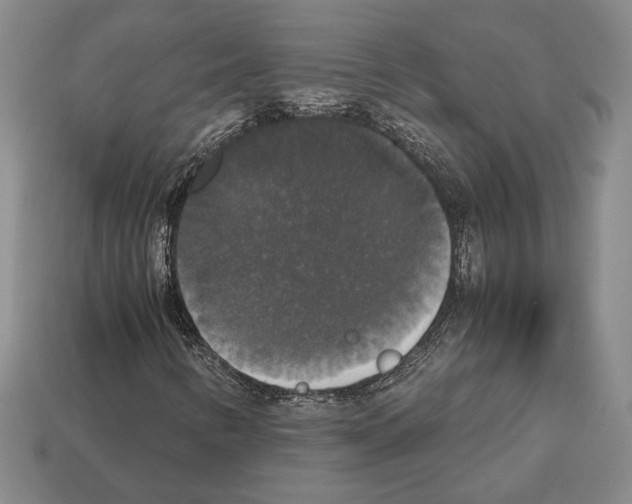 X0000112531346200909281029