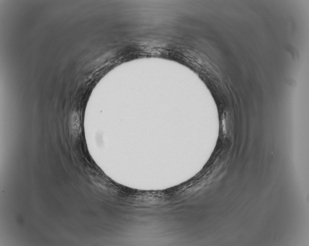 X0000112531347200909281029