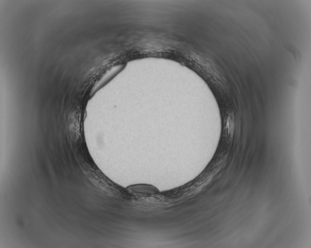 X0000112531348200909281029