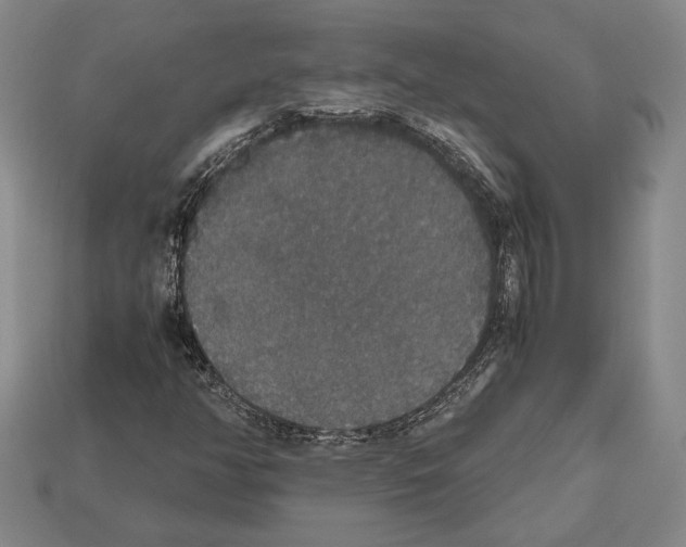 X0000112531350200909281029