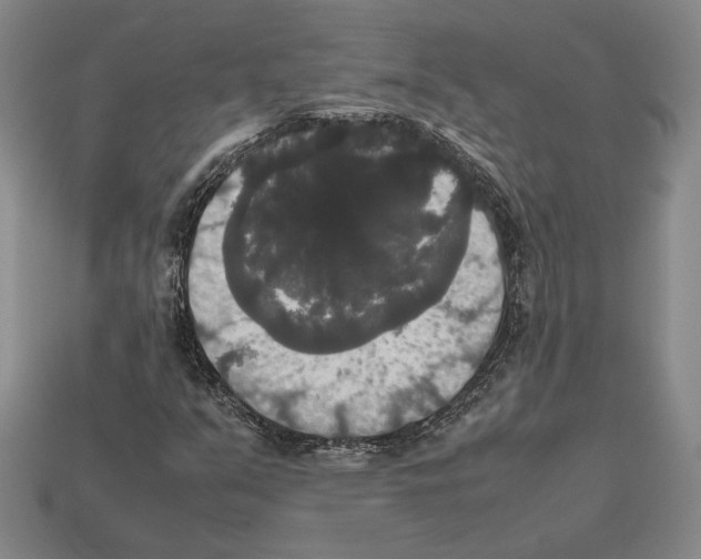 X0000112531351200909281029