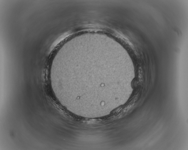 X0000112531352200909281029