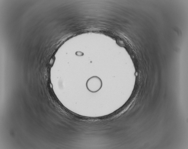 X0000112531353200909281029