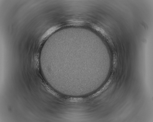 X0000112531354200909281029