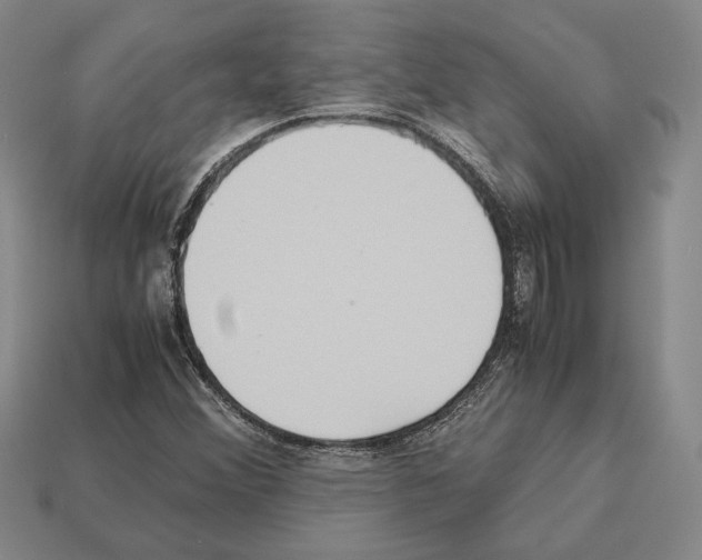 X0000112531356200909281029