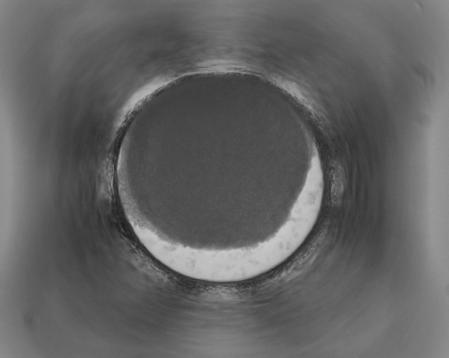 X0000112531358200909281029