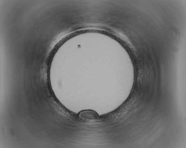 X0000112531360200909281029