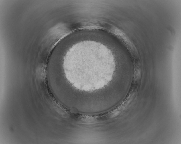 X0000112531361200909281029