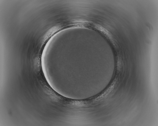 X0000112531362200909281029