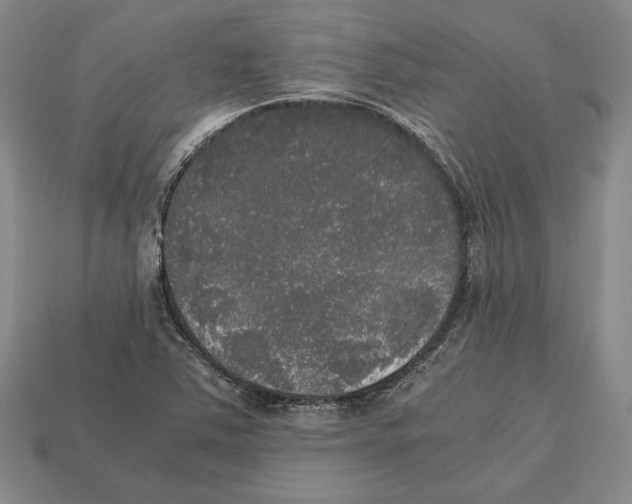 X0000112531363200909281029