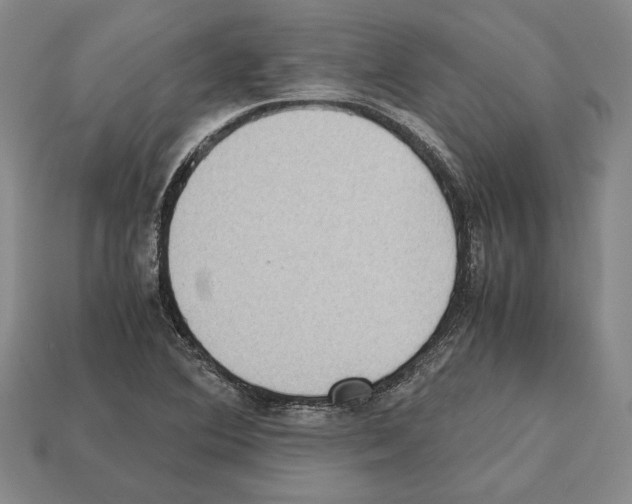 X0000112531364200909281029