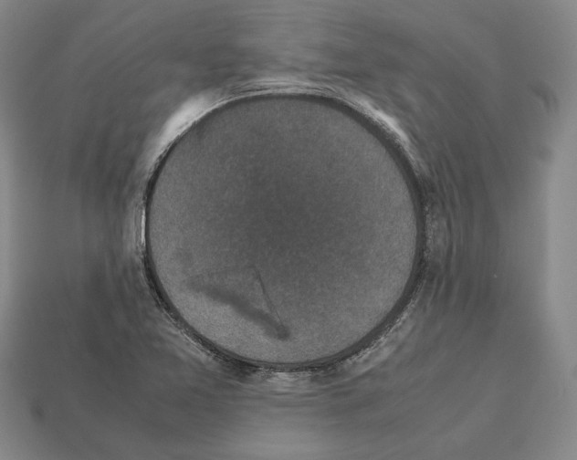 X0000112531365200909281029