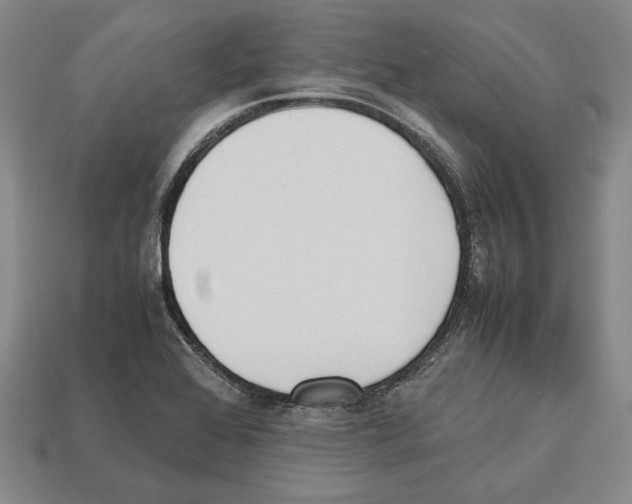 X0000112531368200909281029