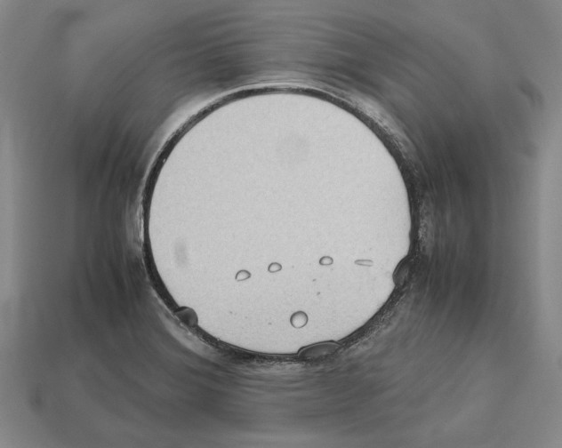 X0000112531372200909281029