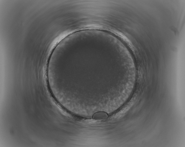 X0000112531373200909281029