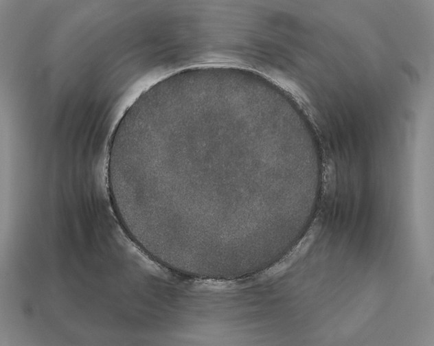 X0000112531374200909281029