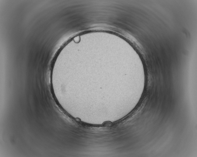 X0000112531376200909281029