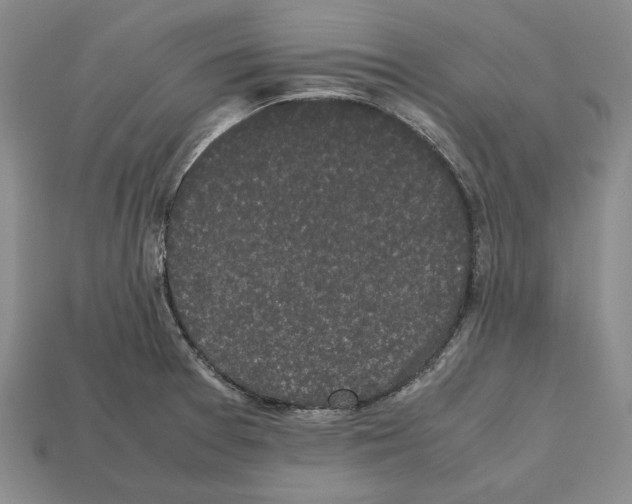 X0000112531377200909281029