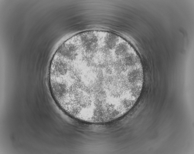 X0000112531379200909281029