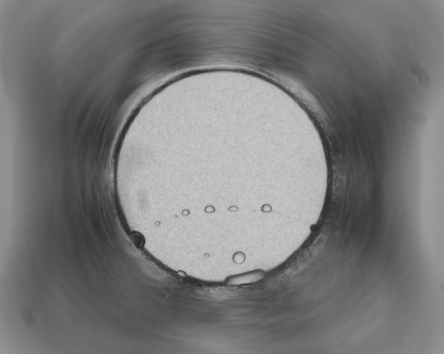 X0000112531380200909281029