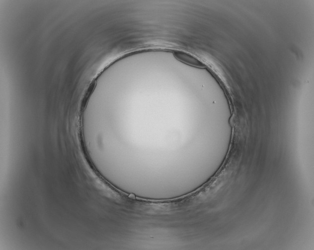 X0000112531381200909281029