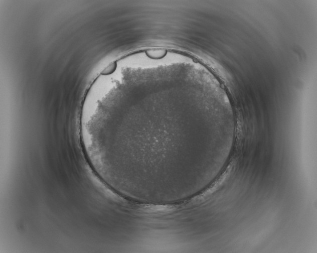 X0000112531382200909281029