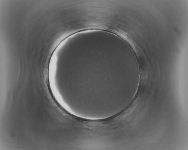 X0000112531383200909281029