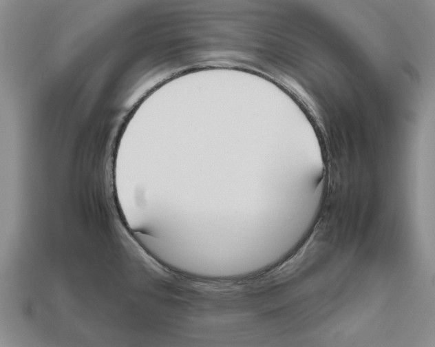 X0000112531384200909281028