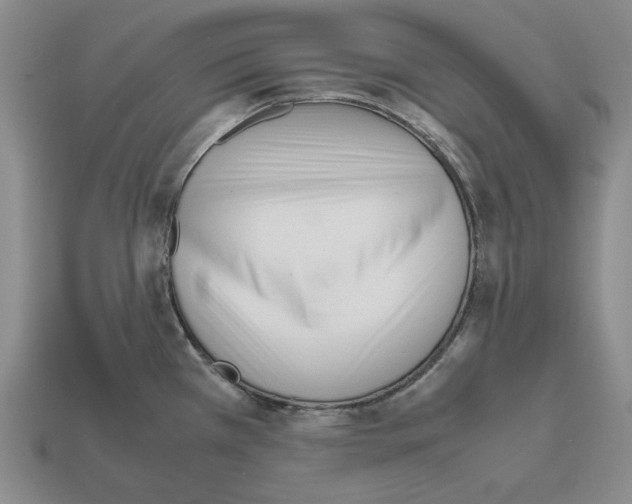 X0000112531385200909281028